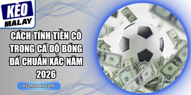 Cách Tính Tiền Cỏ Trong Cá Độ Bóng Đá