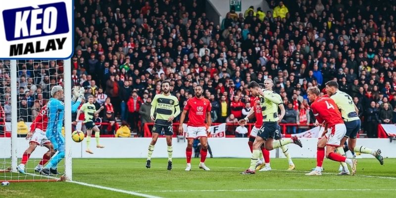 Theo dõi lịch sử đối đầu