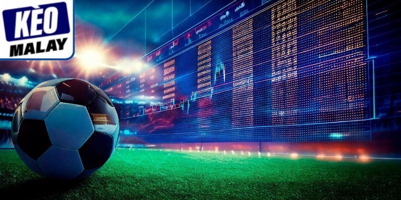 Vì sao luôn tồn tại các dạng cược mang tính rủi ro cao