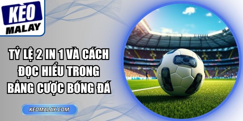 Tỷ Lệ 2 In 1
